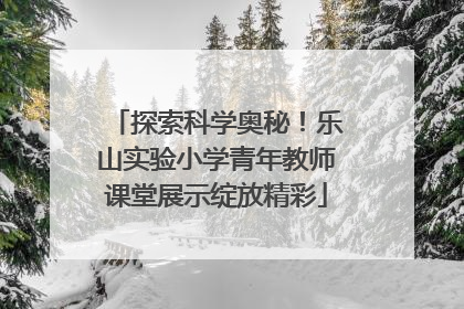 探索科学奥秘！乐山实验小学青年教师课堂展示绽放精彩